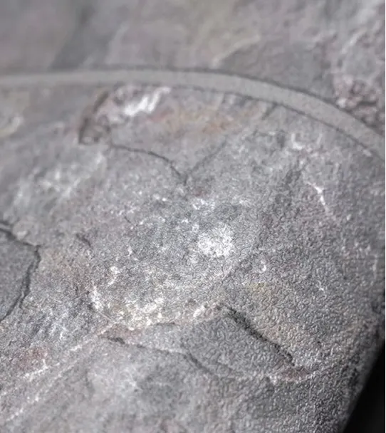 Textured concrete wallpaper